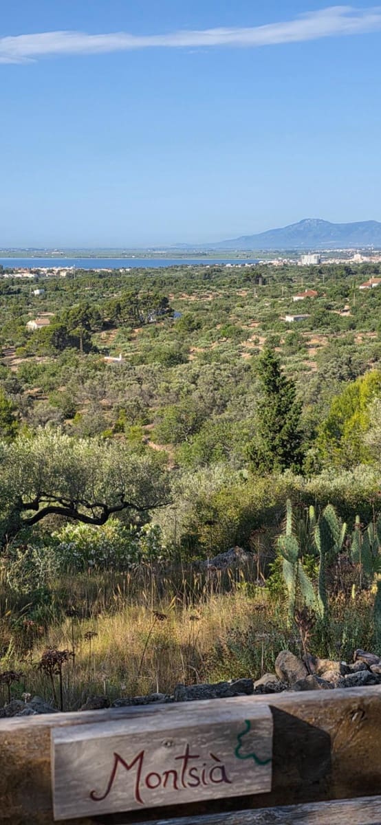 5 slaapkamer Finca/Landhuis te koop in El Perello met zwembad garage - € 1.499.000 (Ref: 9998807)