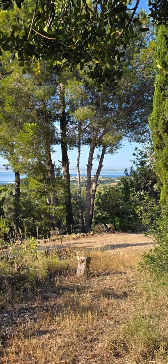 5 slaapkamer Finca/Landhuis te koop in El Perello met zwembad garage - € 1.499.000 (Ref: 9998807)
