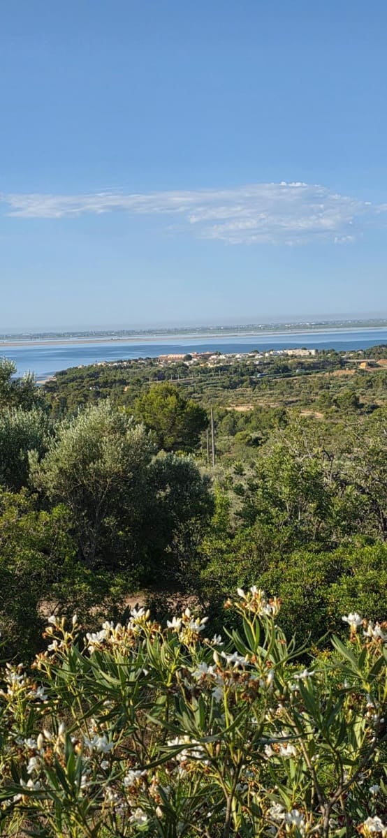 5 slaapkamer Finca/Landhuis te koop in El Perello met zwembad garage - € 1.499.000 (Ref: 9998807)