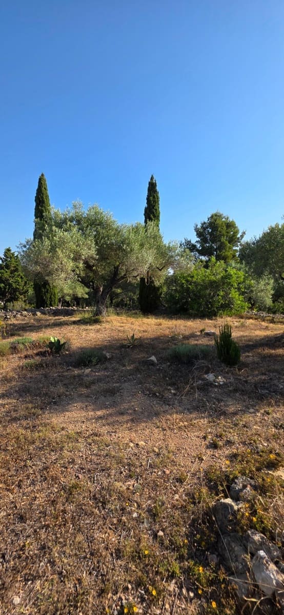 5 slaapkamer Finca/Landhuis te koop in El Perello met zwembad garage - € 1.499.000 (Ref: 9998807)