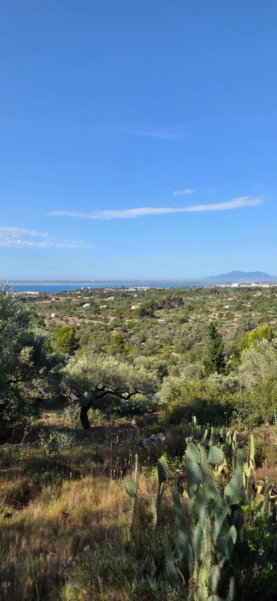 5 slaapkamer Finca/Landhuis te koop in El Perello met zwembad garage - € 1.499.000 (Ref: 9998807)
