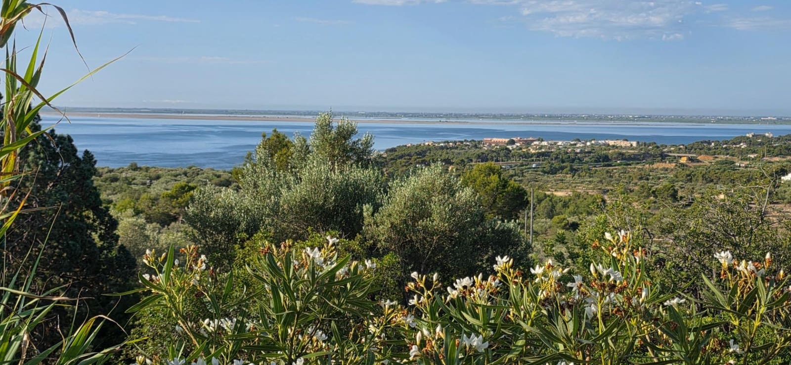 5 slaapkamer Finca/Landhuis te koop in El Perello met zwembad garage - € 1.499.000 (Ref: 9998807)