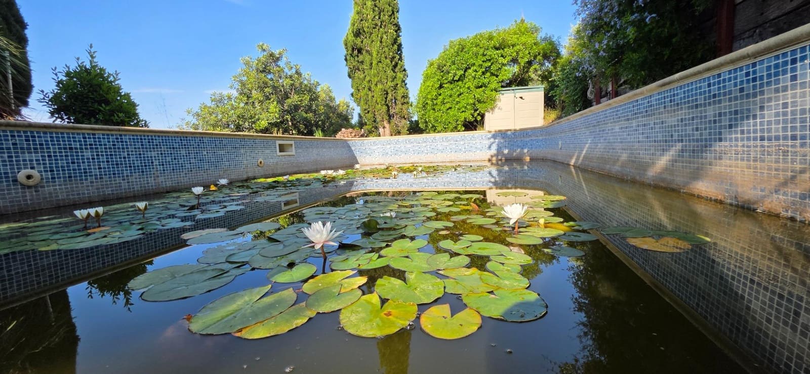 5 slaapkamer Finca/Landhuis te koop in El Perello met zwembad garage - € 1.499.000 (Ref: 9998807)