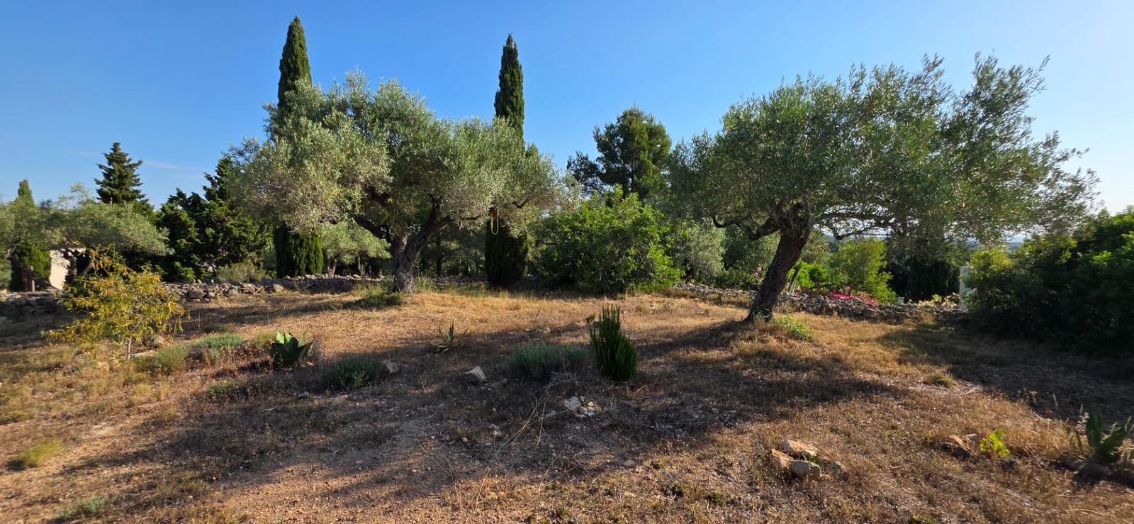 5 slaapkamer Finca/Landhuis te koop in El Perello met zwembad garage - € 1.499.000 (Ref: 9998807)