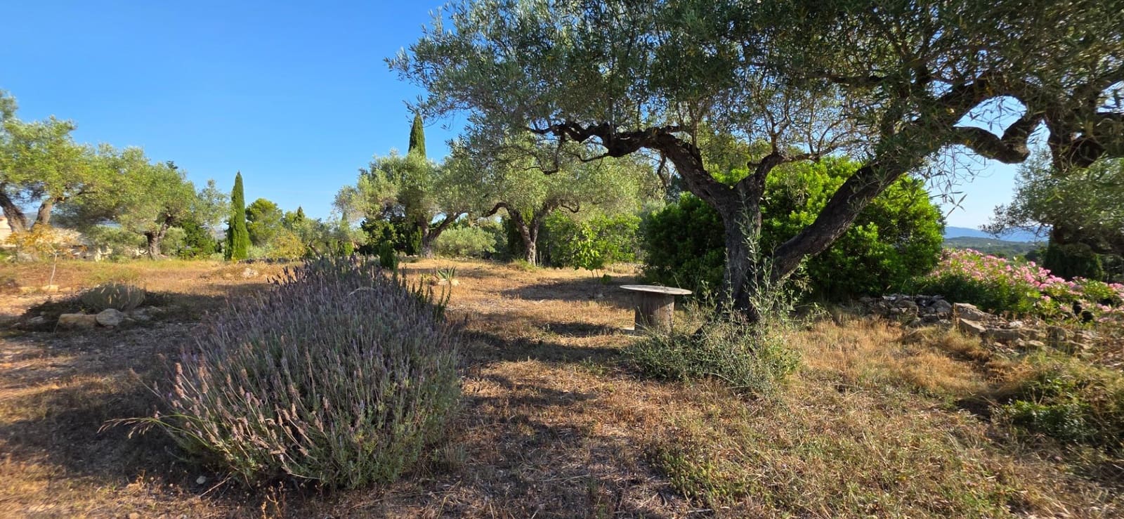 5 slaapkamer Finca/Landhuis te koop in El Perello met zwembad garage - € 1.499.000 (Ref: 9998807)