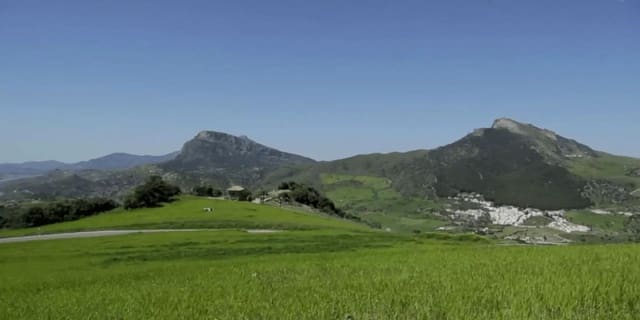 Ubebygd land til salgs i Ronda - € 850 000 (Ref: 7258688)