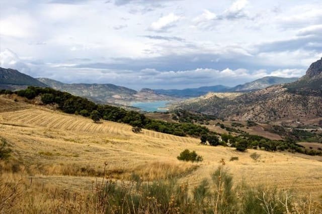 Ubebygd land til salgs i Ronda - € 850 000 (Ref: 7258688)