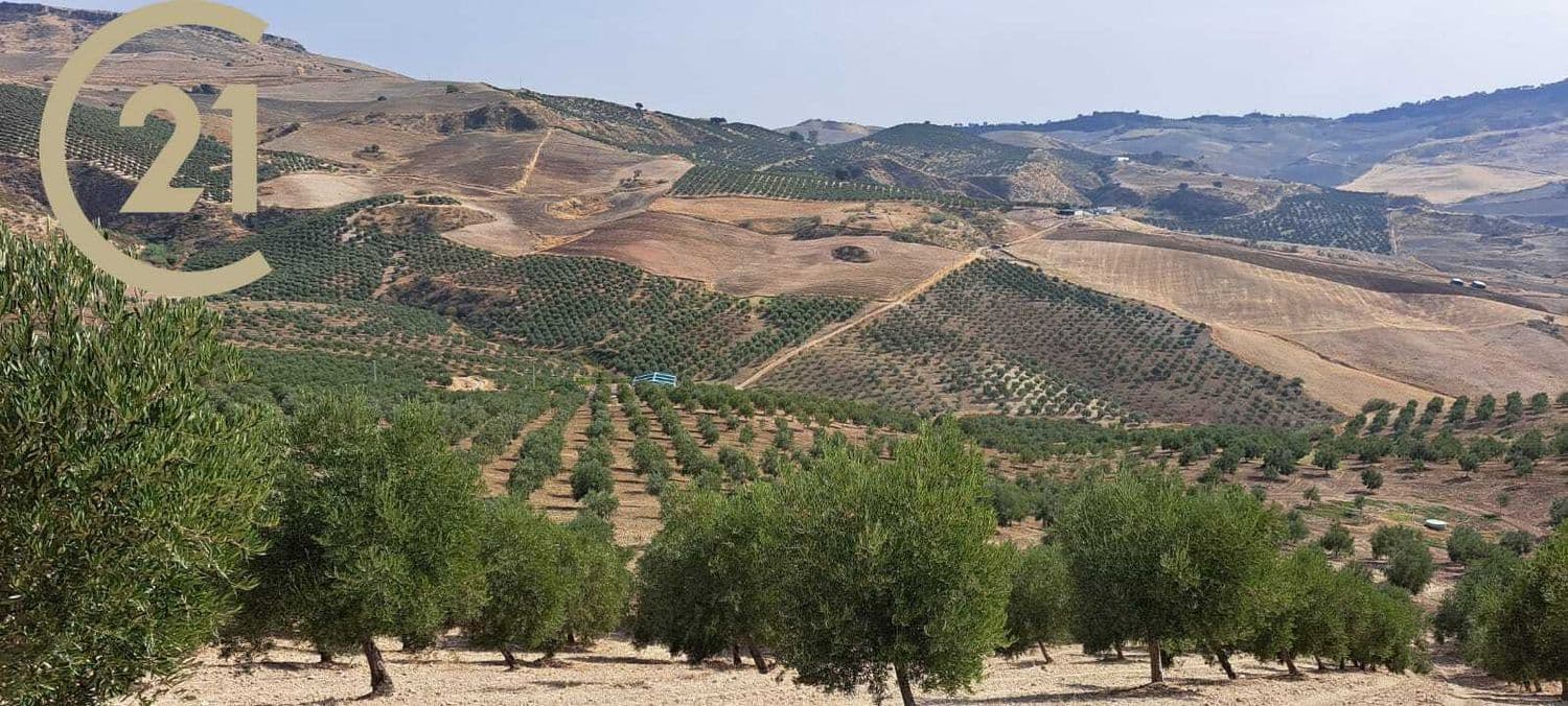 Grunde uden byggetilladelser til salg i Ronda - € 850.000 (Ref: 7258688)