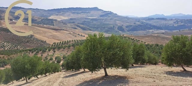 Ubebygd land til salgs i Ronda - € 850 000 (Ref: 7258688)