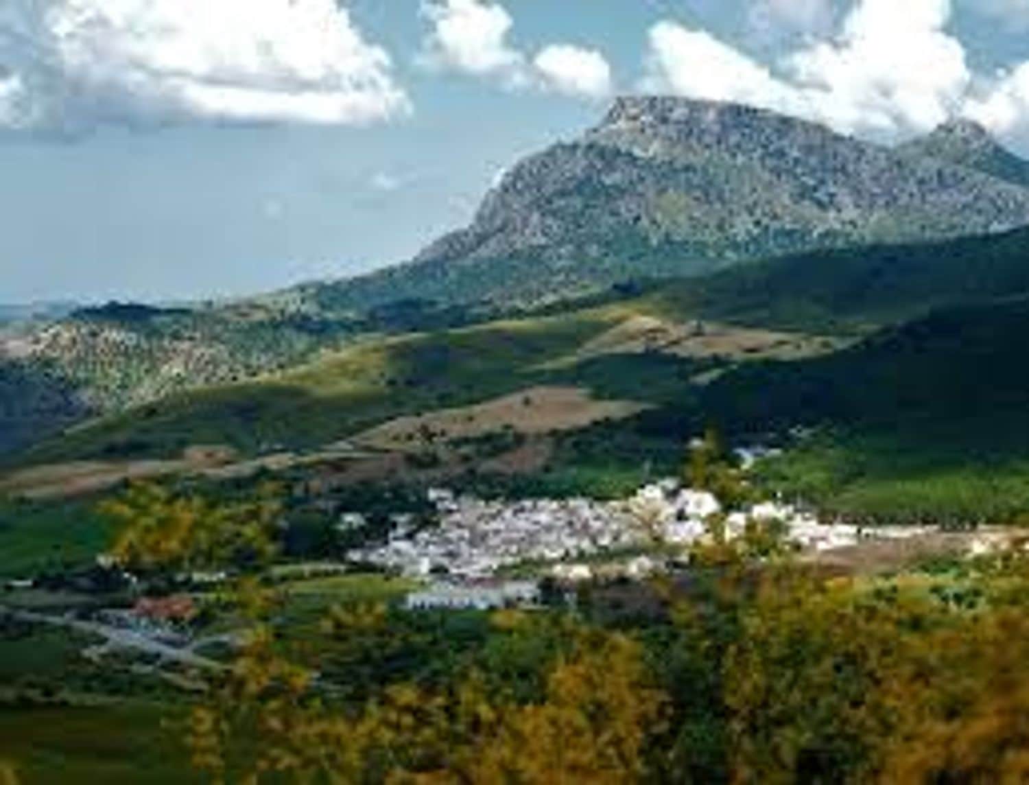 Grunde uden byggetilladelser til salg i Ronda - € 850.000 (Ref: 7258688)