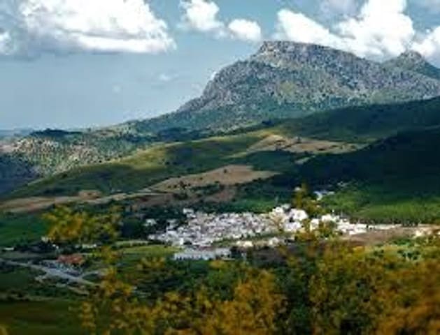 Ubebygd land til salgs i Ronda - € 850 000 (Ref: 7258688)