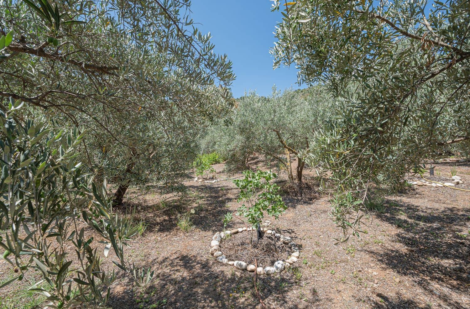 1 quarto Quinta/Casa Rural para venda em Guaro com garagem - 182 500 € (Ref: 7649267)