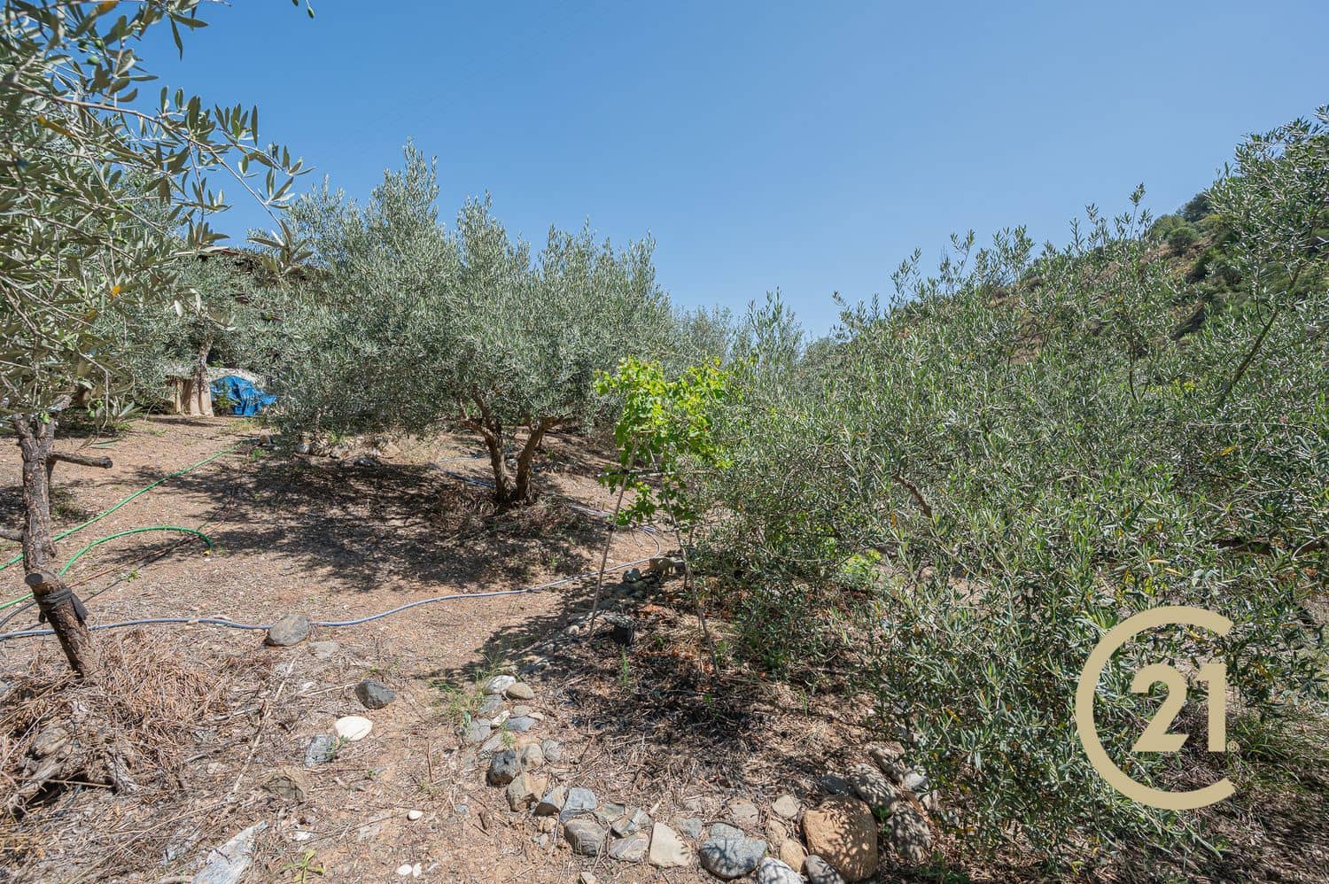 1 quarto Quinta/Casa Rural para venda em Guaro com garagem - 182 500 € (Ref: 7649267)