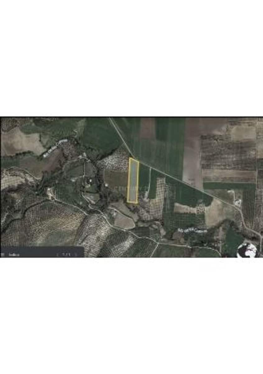 Grunde uden byggetilladelser til salg i Ronda - € 80.000 (Ref: 7681804)