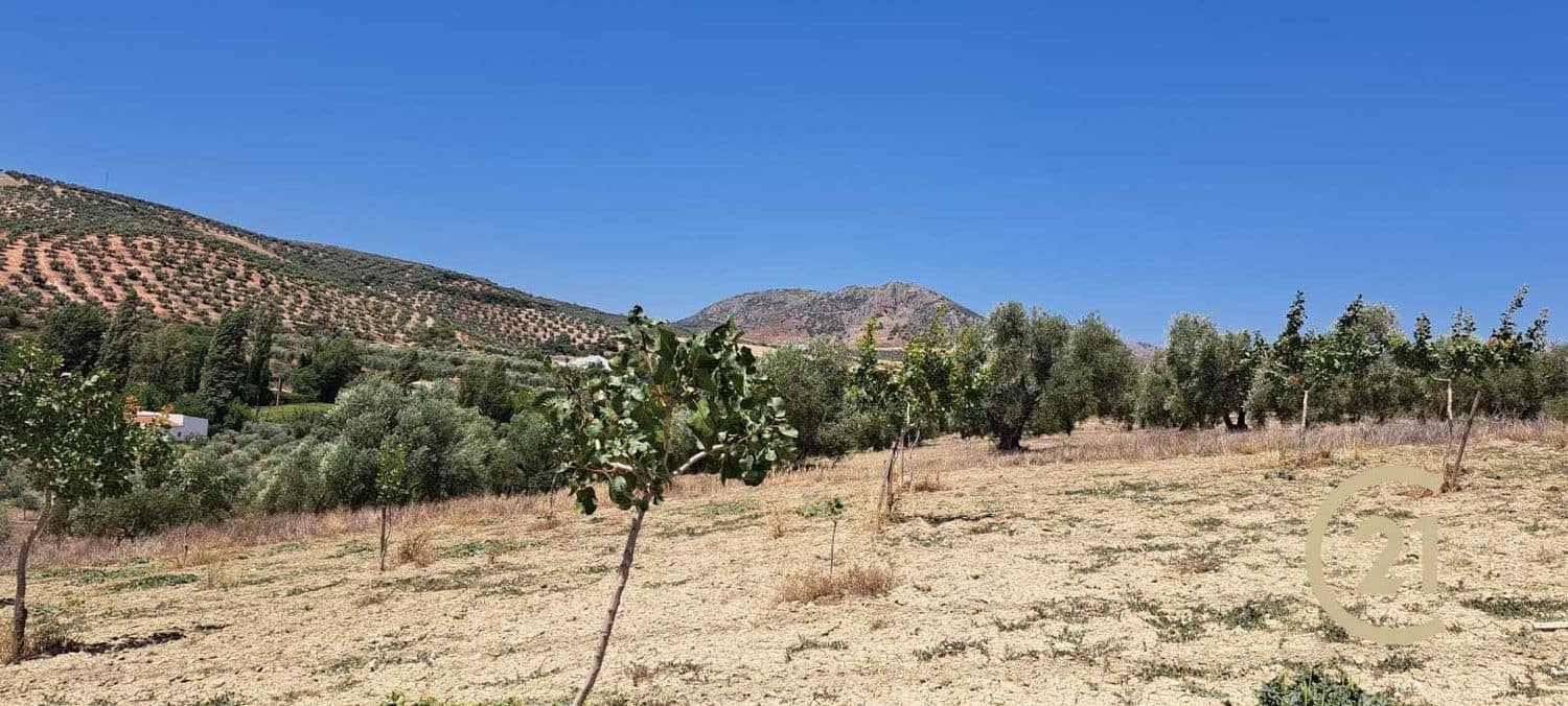 Grunde uden byggetilladelser til salg i Ronda - € 80.000 (Ref: 7681804)