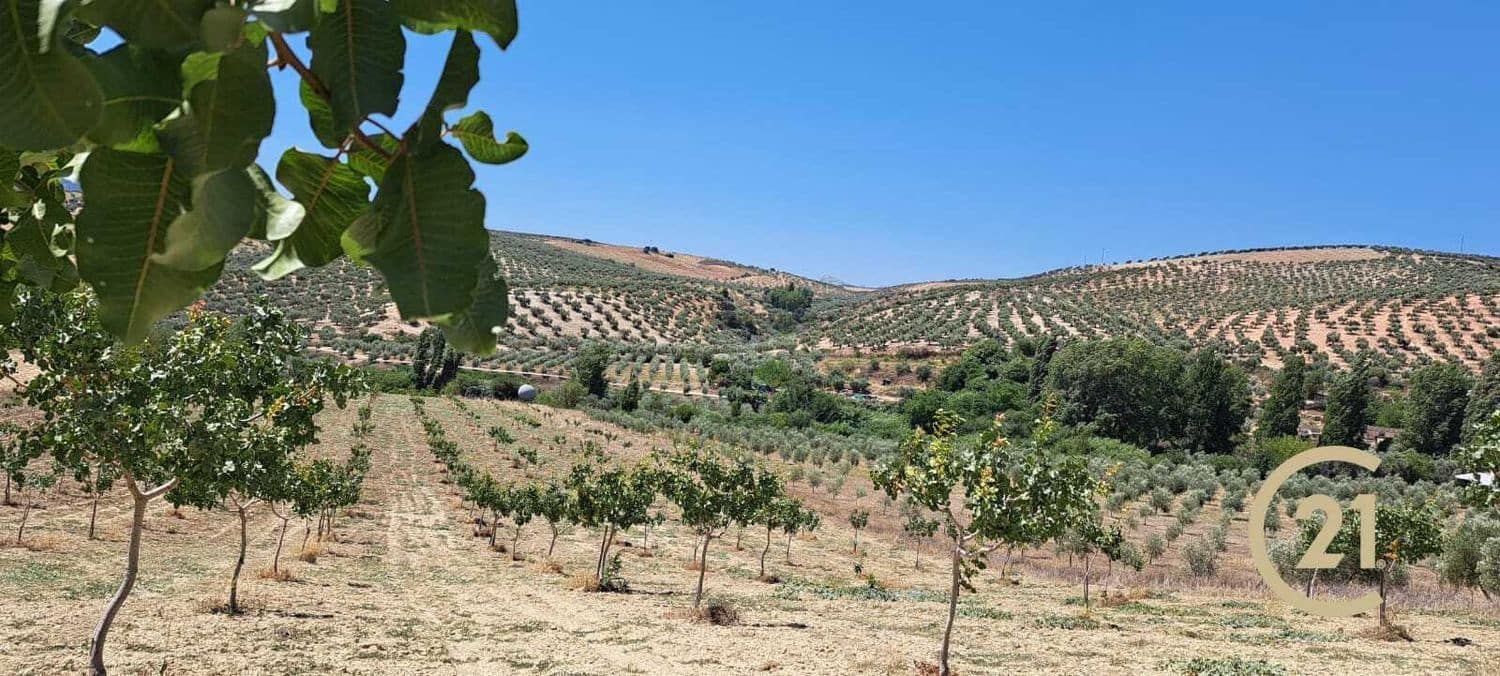 Grunde uden byggetilladelser til salg i Ronda - € 80.000 (Ref: 7681804)