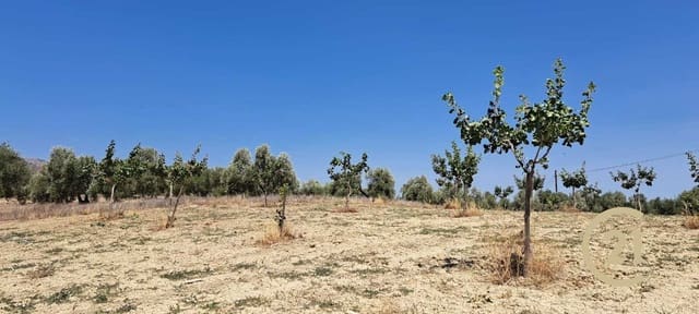 Ubebygd land til salgs i Ronda - € 80 000 (Ref: 7681804)