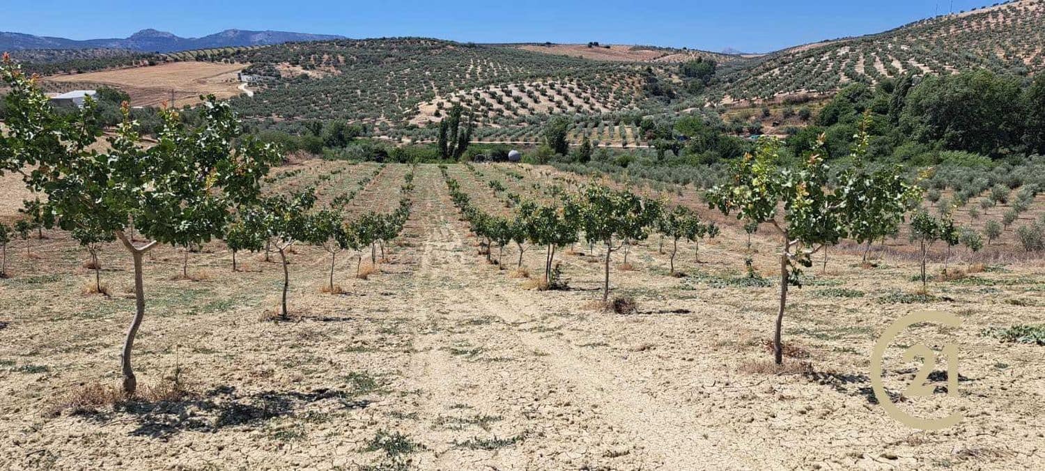 Grunde uden byggetilladelser til salg i Ronda - € 80.000 (Ref: 7681804)