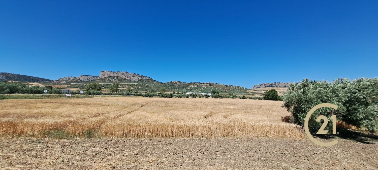 Grunde uden byggetilladelser til salg i Ronda - € 699.000 (Ref: 8419261)