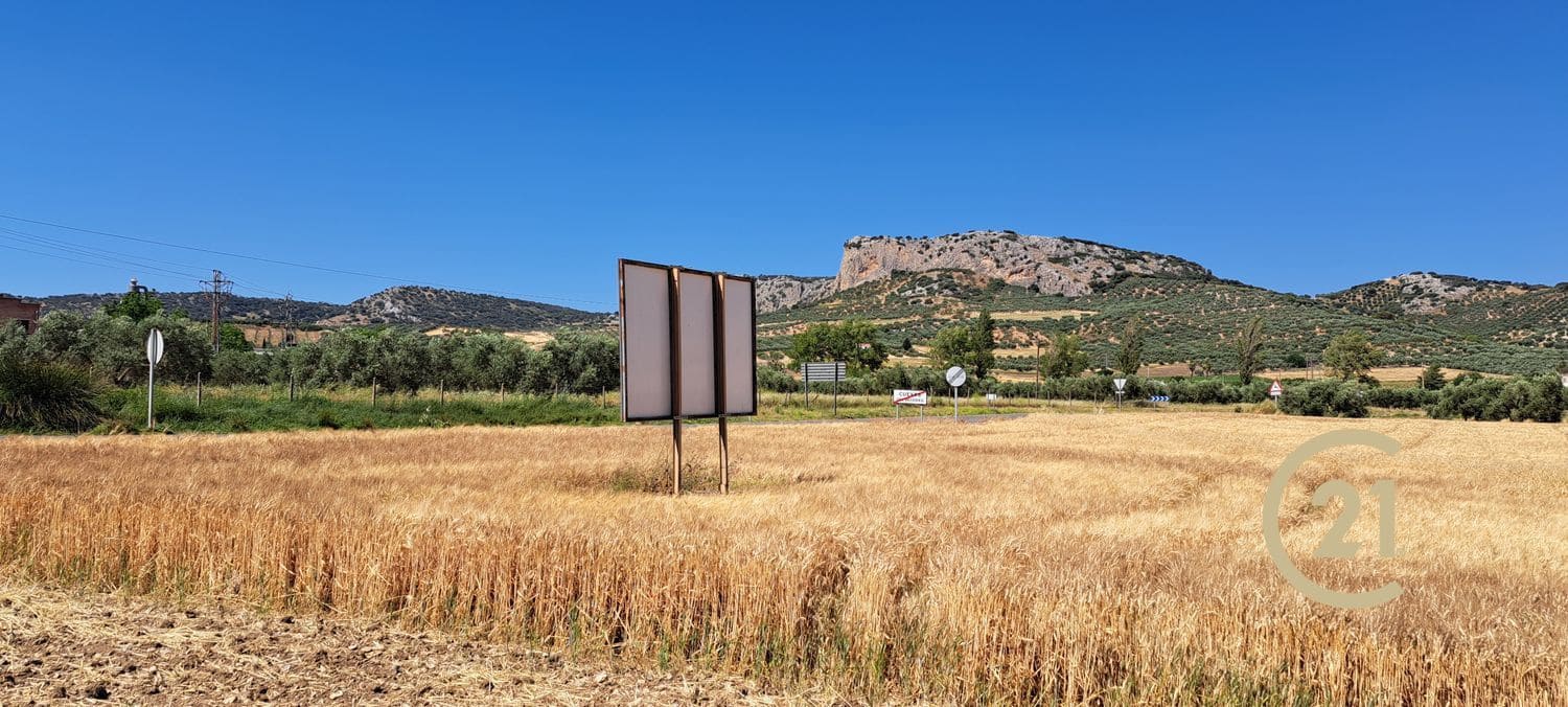 Grunde uden byggetilladelser til salg i Ronda - € 699.000 (Ref: 8419261)