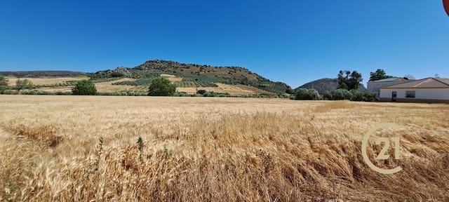 Ubebygd land til salgs i Ronda - € 699 000 (Ref: 8419261)