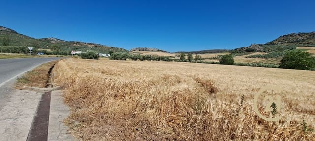 Ubebygd land til salgs i Ronda - € 699 000 (Ref: 8419261)
