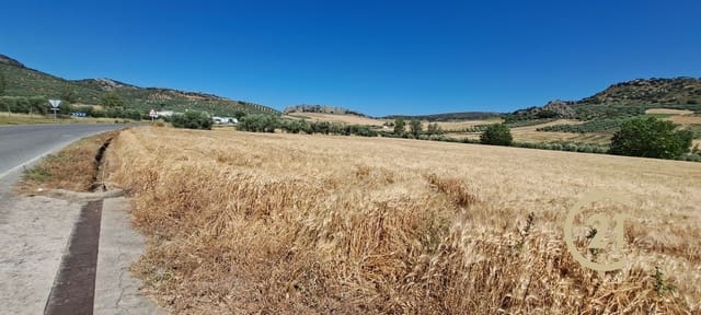 Ubebygd land til salgs i Ronda - € 699 000 (Ref: 8419261)