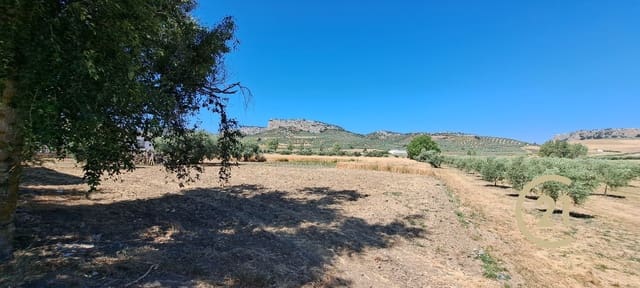 Ubebygd land til salgs i Ronda - € 699 000 (Ref: 8419261)