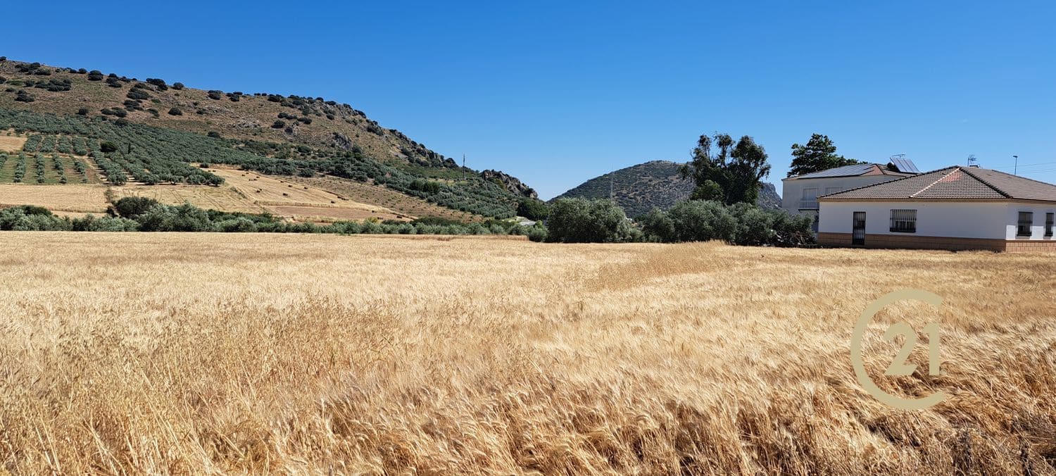 Grunde uden byggetilladelser til salg i Ronda - € 699.000 (Ref: 8419261)