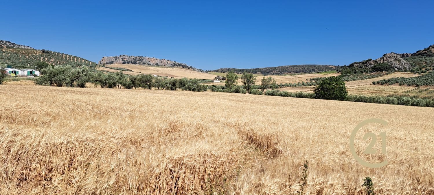 Grunde uden byggetilladelser til salg i Ronda - € 699.000 (Ref: 8419261)