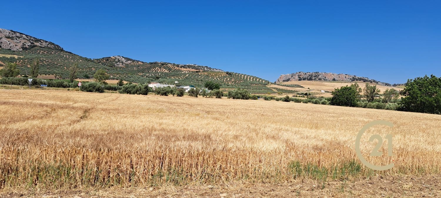 Grunde uden byggetilladelser til salg i Ronda - € 699.000 (Ref: 8419261)