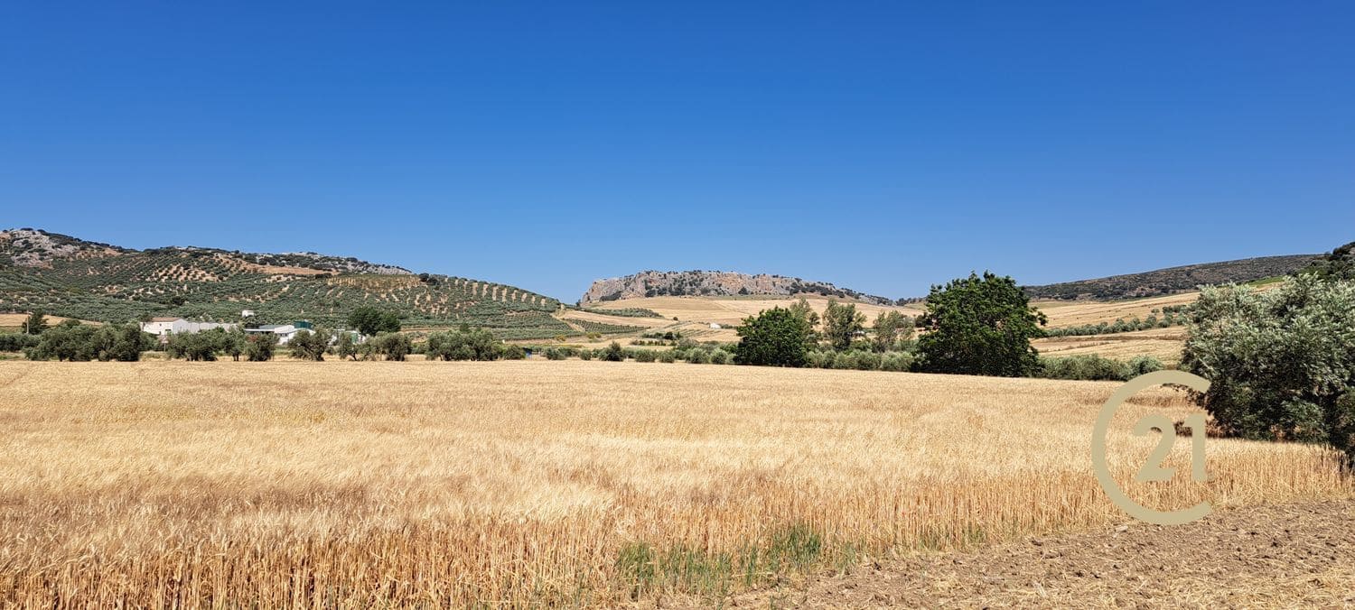 Grunde uden byggetilladelser til salg i Ronda - € 699.000 (Ref: 8419261)