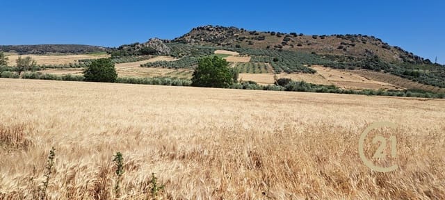 Ubebygd land til salgs i Ronda - € 699 000 (Ref: 8419261)