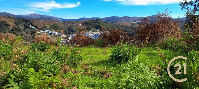 Undeveloped Land for sale in Júzcar - € 110,000 (Ref: 8747032)