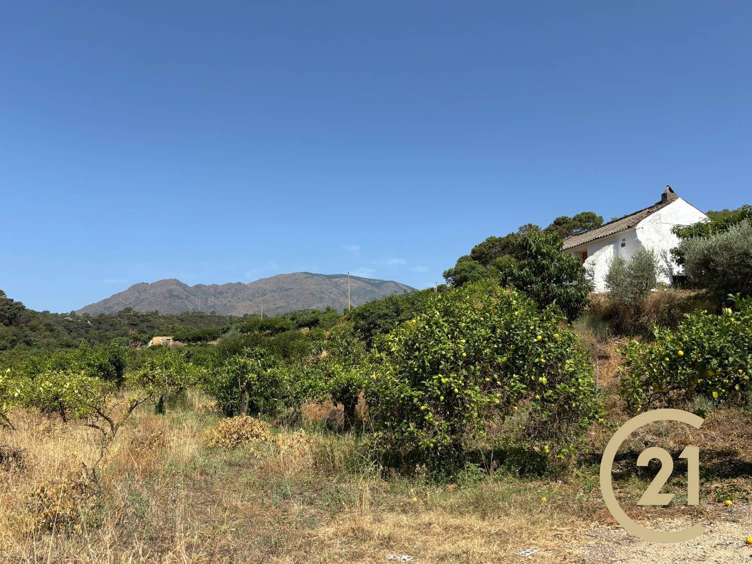 Grond te koop in Estepona - € 375.000 (Ref: 9100338)