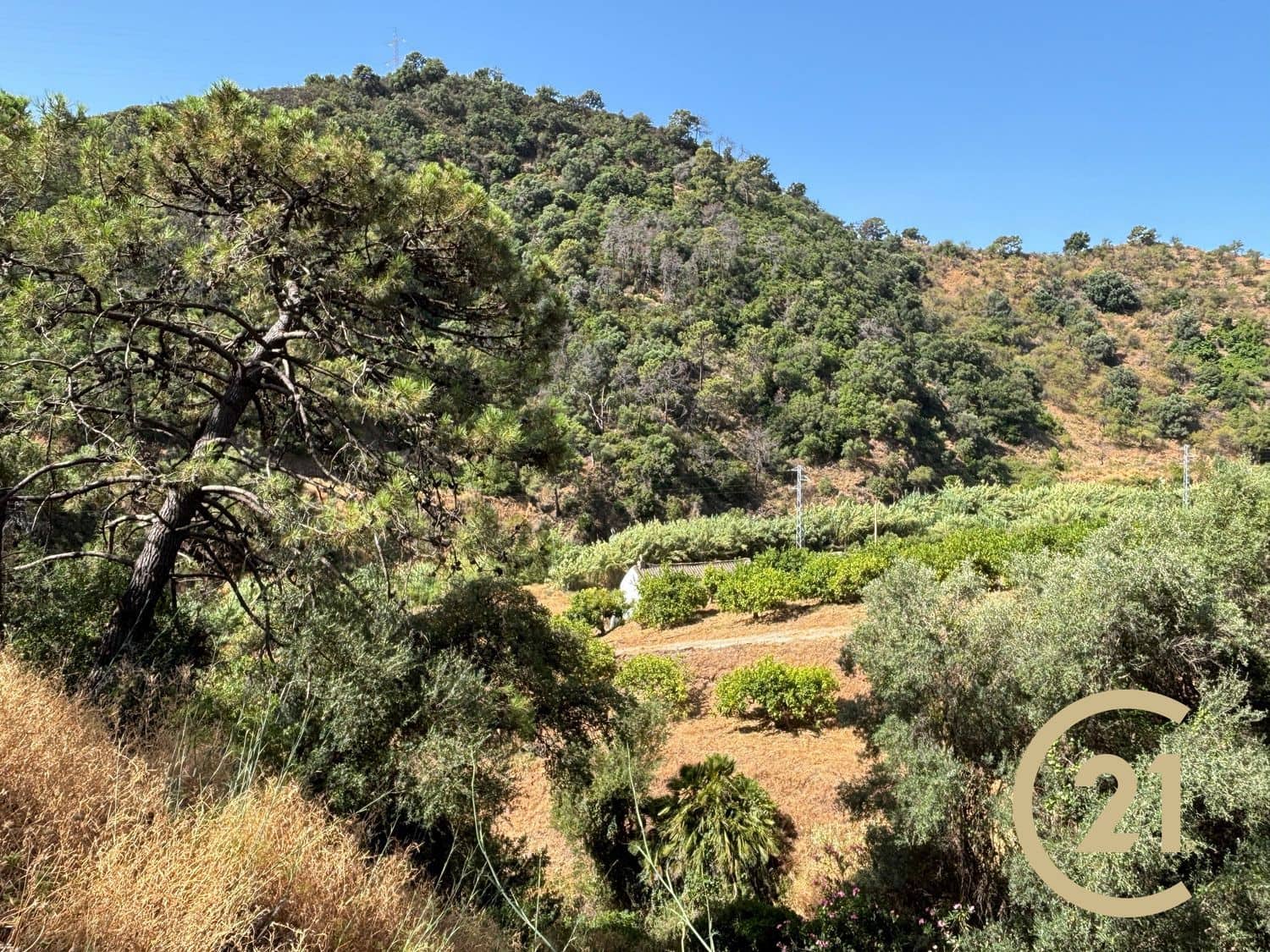 Grond te koop in Estepona - € 375.000 (Ref: 9100338)