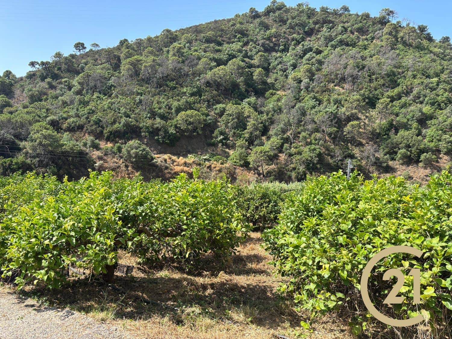 Grond te koop in Estepona - € 375.000 (Ref: 9100338)