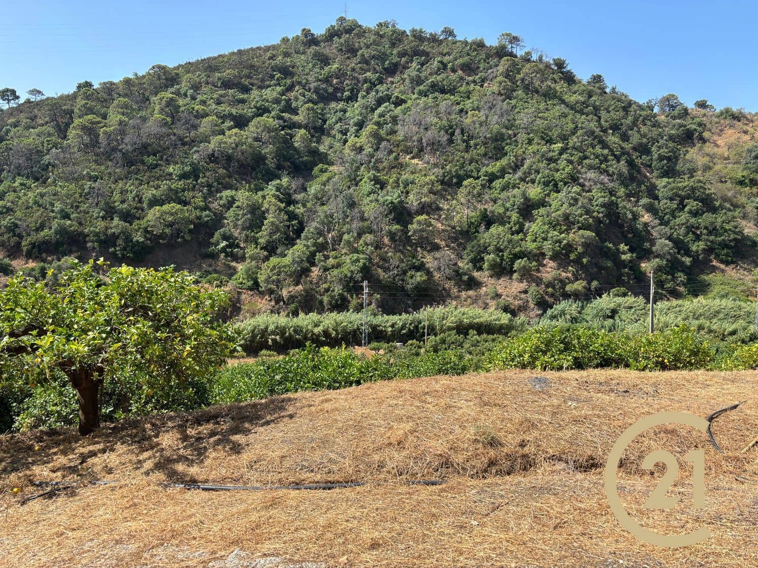 Grond te koop in Estepona - € 375.000 (Ref: 9100338)