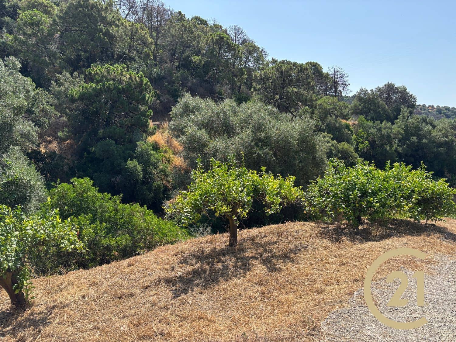 Grond te koop in Estepona - € 375.000 (Ref: 9100338)