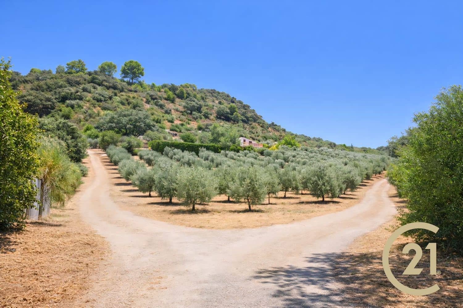 3 Zimmer Finca/Landgut zu verkaufen in Ronda mit Pool Garage - 550.000 € (Ref: 9198338)