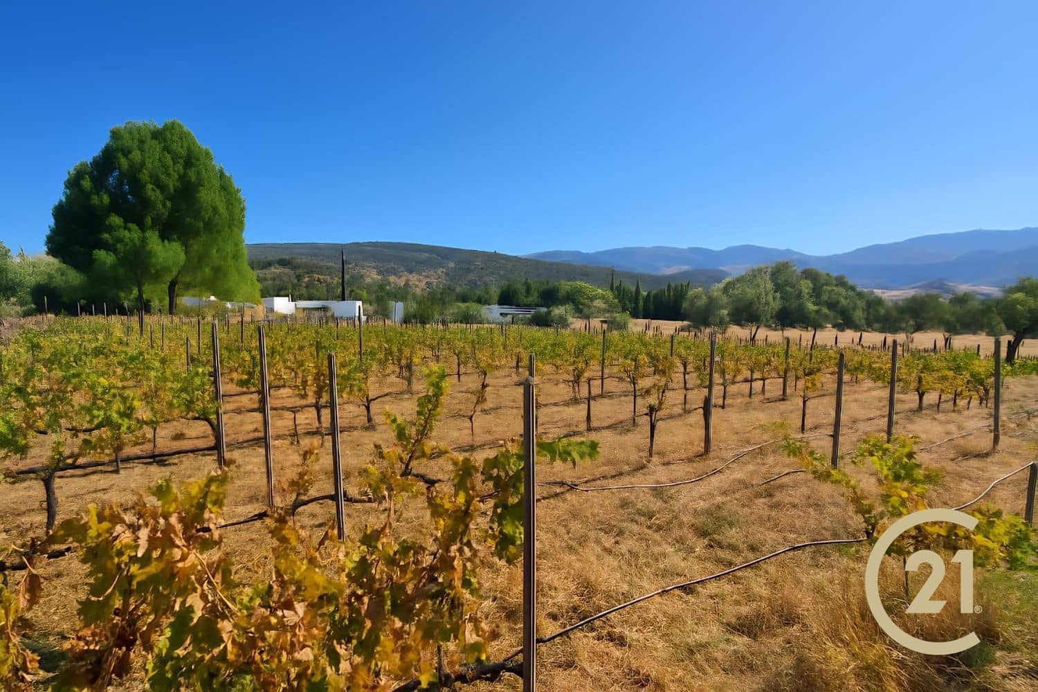 5 soverom Finca/Herregård til salgs i Ronda med svømmebasseng garasje - € 695 000 (Ref: 9321580)