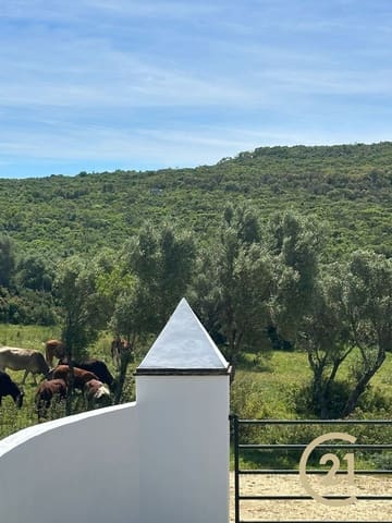 Grunde uden byggetilladelser til salg i Medina-Sidonia - € 180.000 (Ref: 9902683)