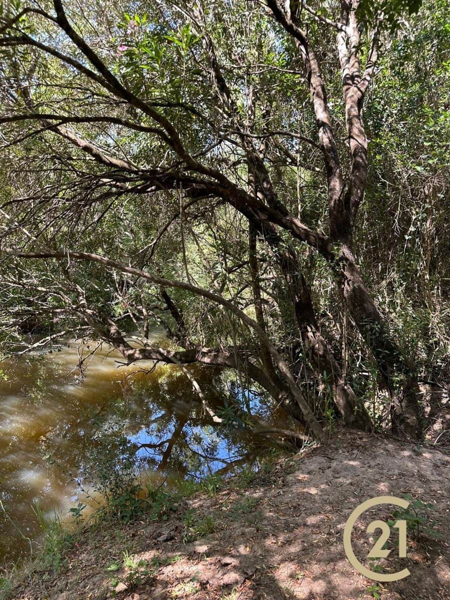 Grunde uden byggetilladelser til salg i Medina-Sidonia - € 180.000 (Ref: 9902683)