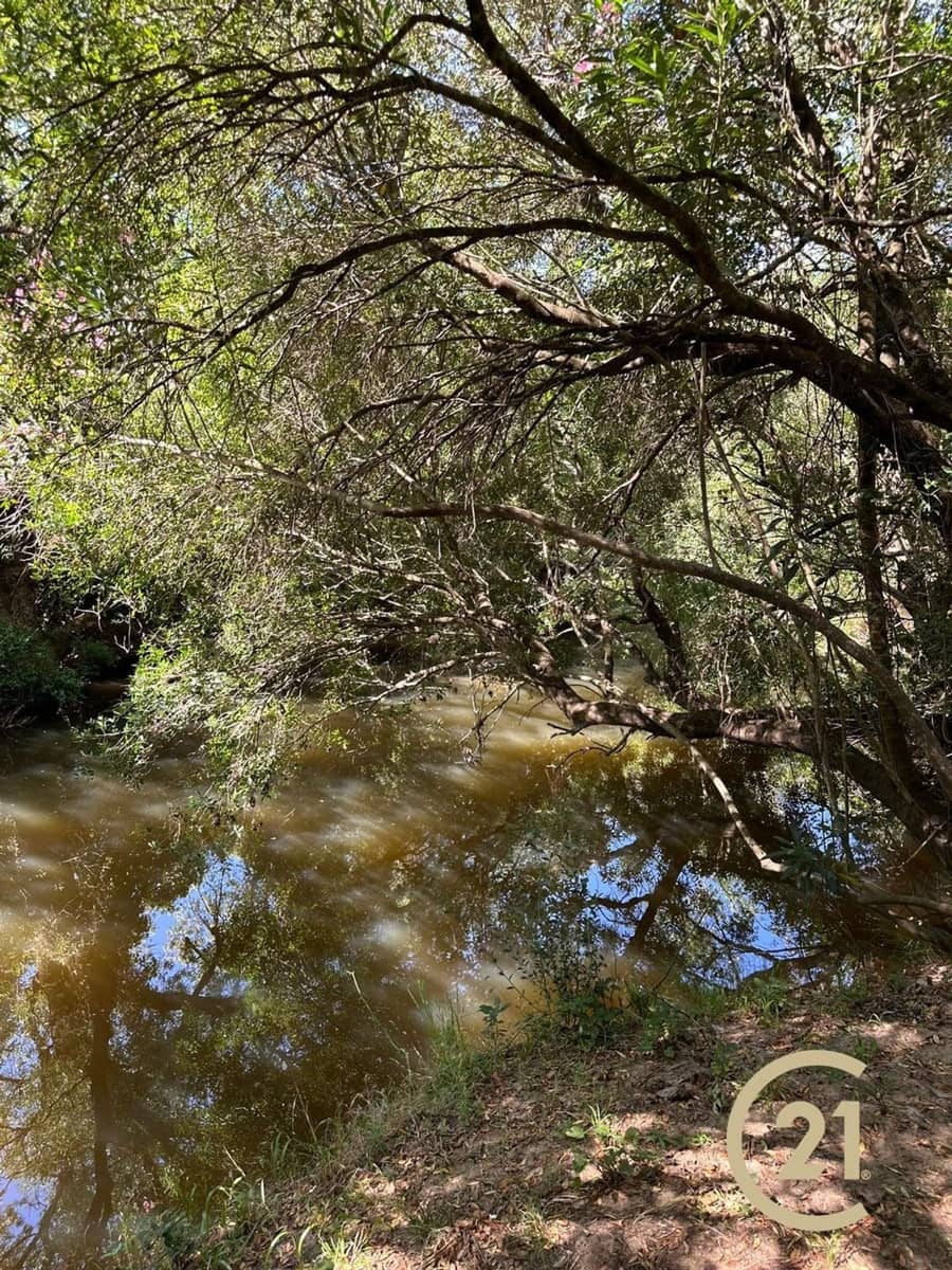 Grunde uden byggetilladelser til salg i Medina-Sidonia - € 180.000 (Ref: 9902683)