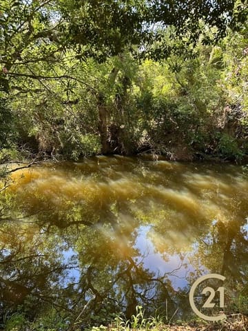 Grunde uden byggetilladelser til salg i Medina-Sidonia - € 180.000 (Ref: 9902683)