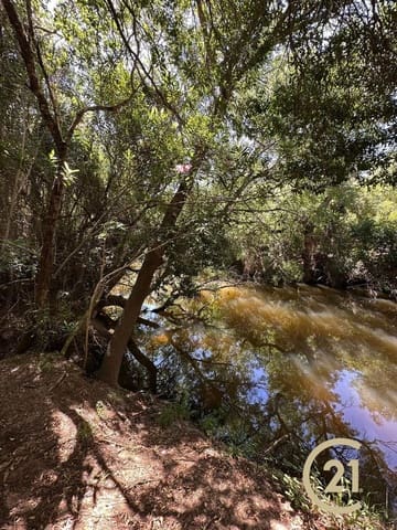 Grunde uden byggetilladelser til salg i Medina-Sidonia - € 180.000 (Ref: 9902683)