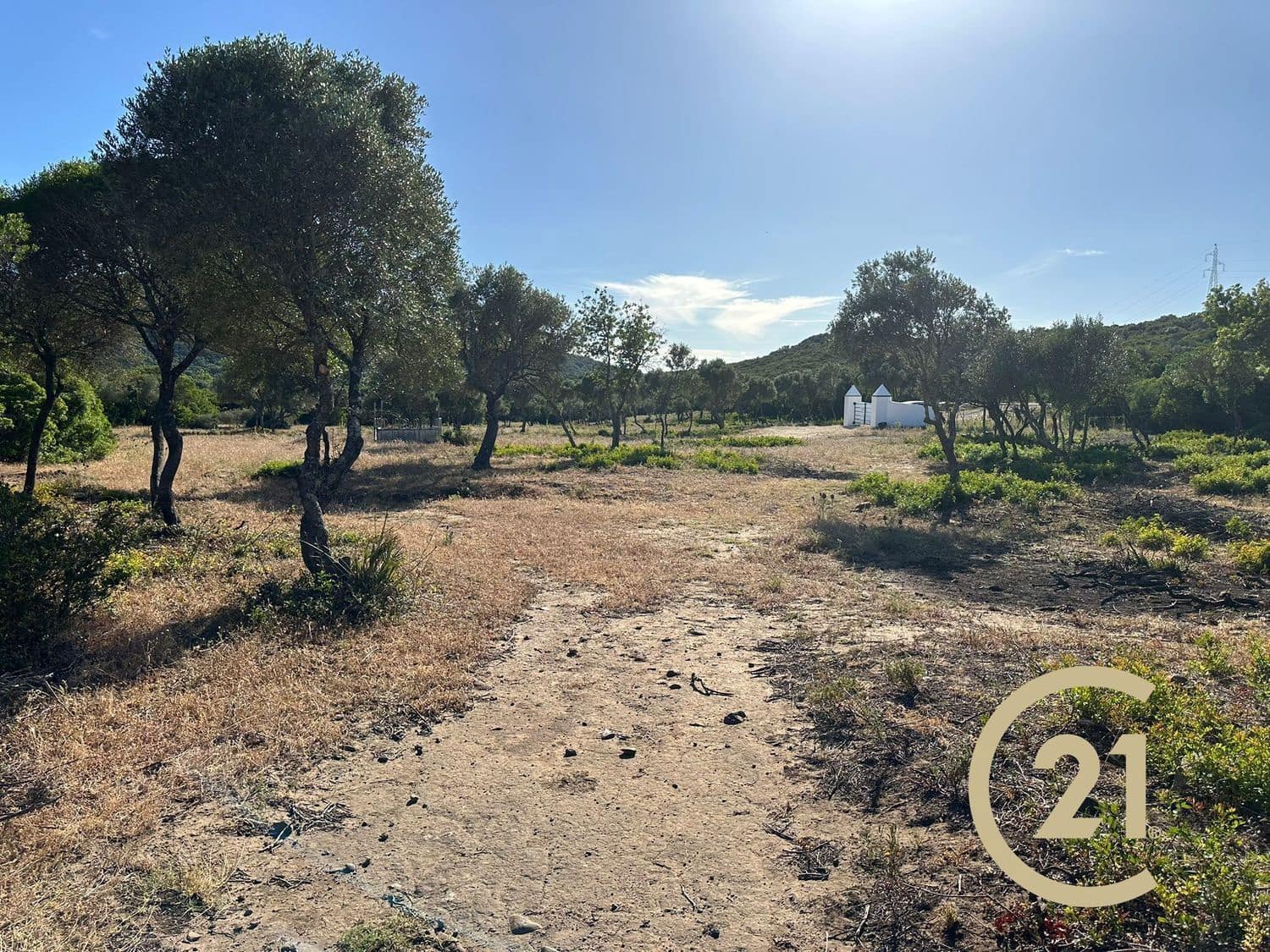 Grunde uden byggetilladelser til salg i Medina-Sidonia - € 180.000 (Ref: 9902683)