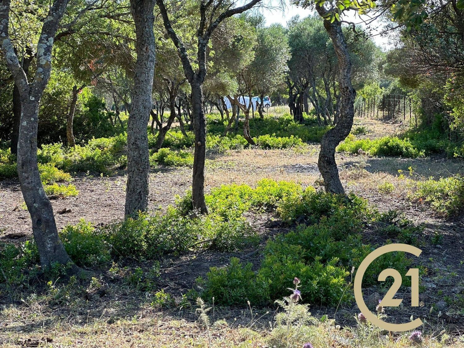 Grunde uden byggetilladelser til salg i Medina-Sidonia - € 180.000 (Ref: 9902683)