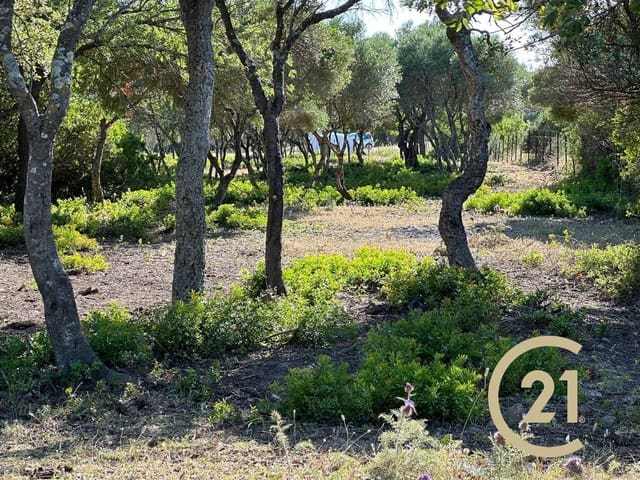 Grunde uden byggetilladelser til salg i Medina-Sidonia - € 180.000 (Ref: 9902683)