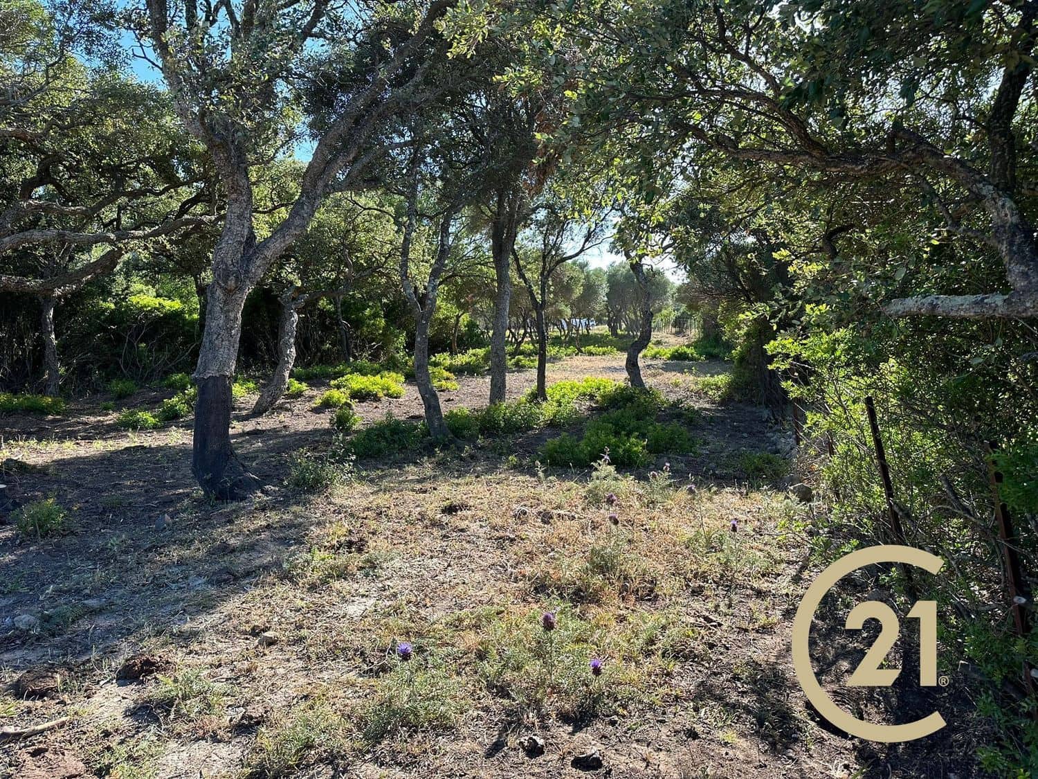 Grunde uden byggetilladelser til salg i Medina-Sidonia - € 180.000 (Ref: 9902683)